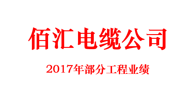 2017年乐玩国际电缆合作单位工程项目 部分业绩
